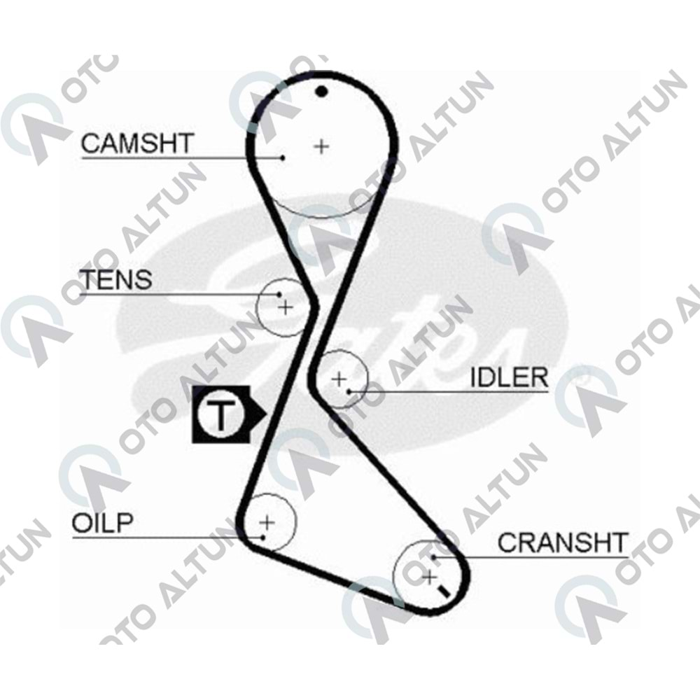 TRİGER KAYIŞI 2.0 16v 128 DİŞ